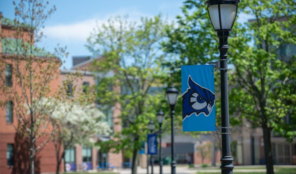 WSU campus in the spring with flowering trees and light post with blue owl spirit mark flag.